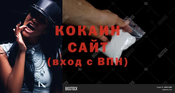 трава Аркадак