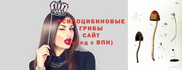 трава Аркадак