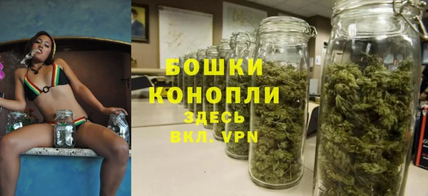 трава Аркадак
