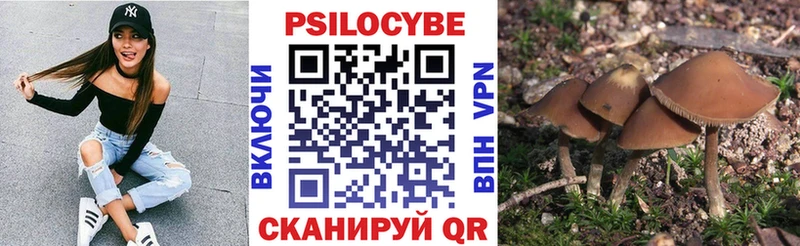 Галлюциногенные грибы мухоморы Мариинск